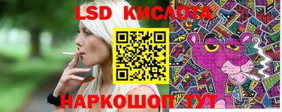 стаф Заводоуковск