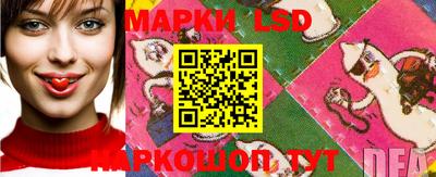 стаф Заводоуковск