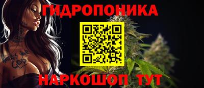 ALPHA PVP Заволжье