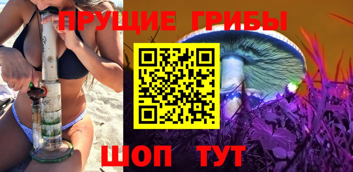 Галлюциногенные грибы прущие грибы  Галлюциногенные грибы Magic Shrooms  Курчалой  где можно купить   Вход с VPN 