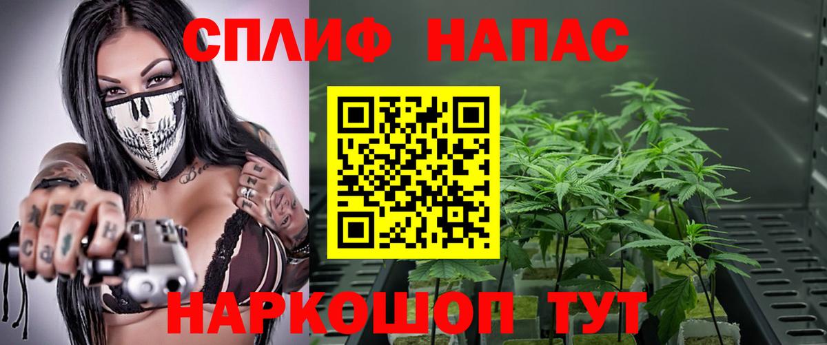 Курчалой  МАРИХУАНА LSD WEED  Конопля сатива  МАРИХУАНА AK-47  Марихуана LSD WEED  Вход с VPN 